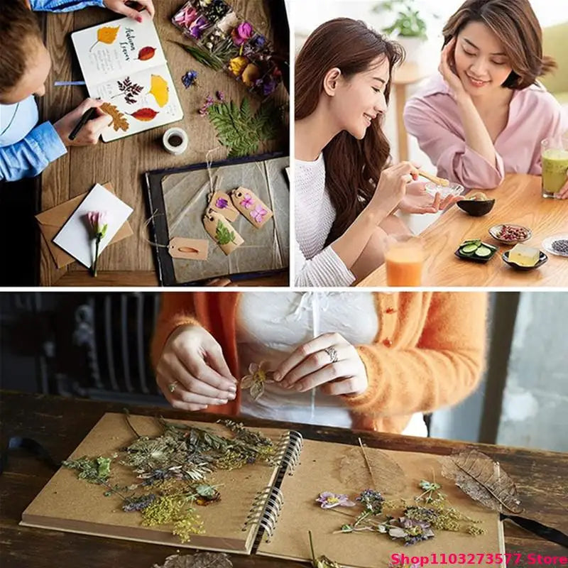 100% High-quality Natural Bulk Lavender Dried Flowers Used For Decorating Candles Making Sachet Crafts Filling Pillowcases