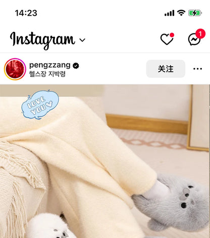 Little Seal Fluffy Home Slippers Anti-Slip Indoor Floor Shoes Cartoon Cute Plush Thicken Warm Cotton Shoes