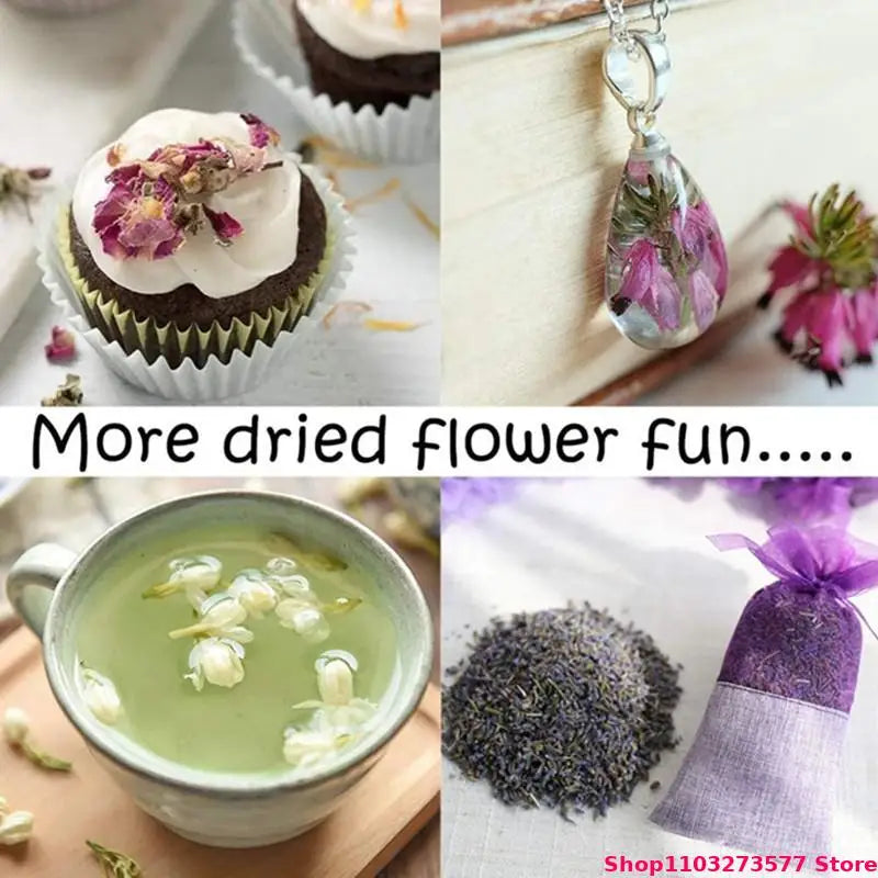100% High-quality Natural Bulk Lavender Dried Flowers Used For Decorating Candles Making Sachet Crafts Filling Pillowcases