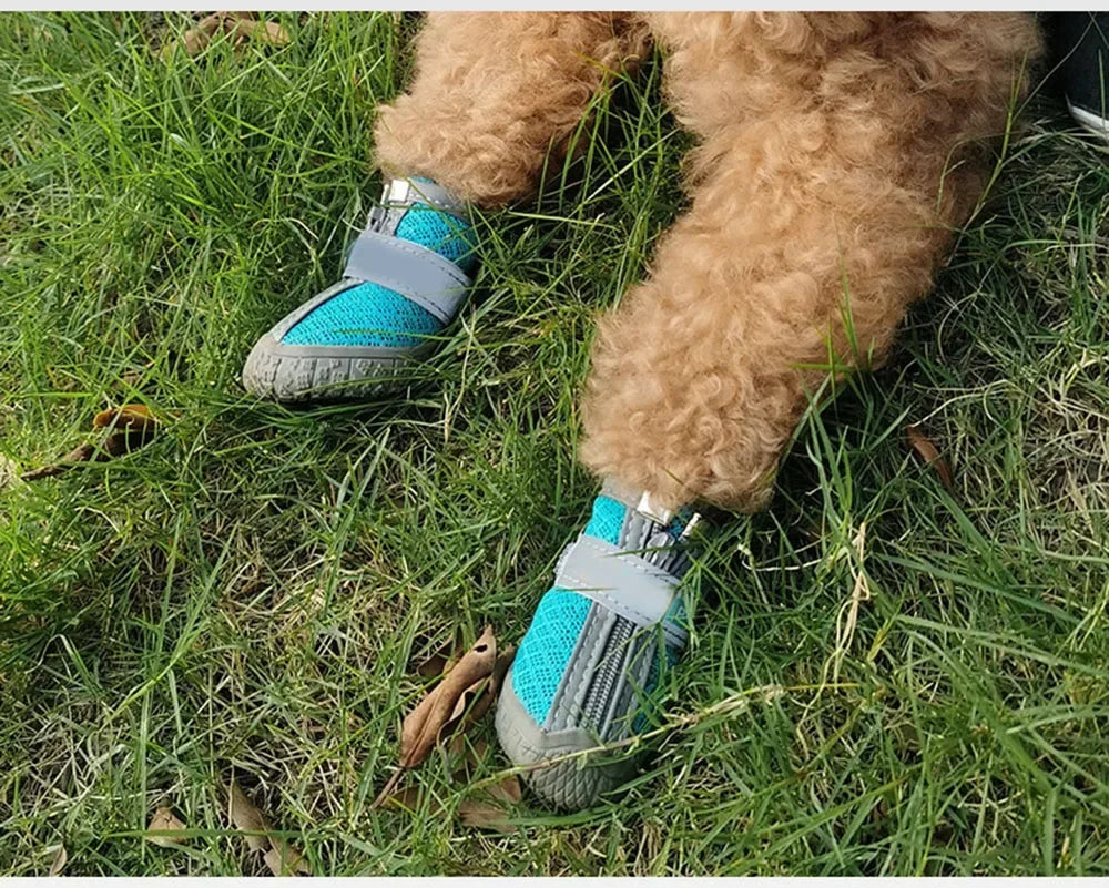 Dog Shoes Waterproof Dog Shoes for Hot Pavement Puppy Pet Boots & Paw Protectors Small Medium Dogs for Hardwood Floors Anti Slip
